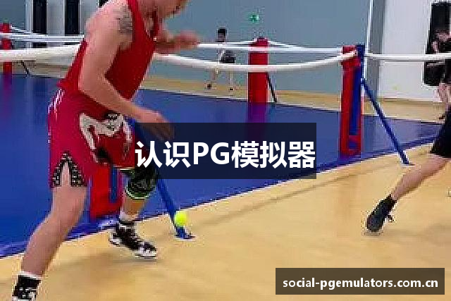 认识PG模拟器